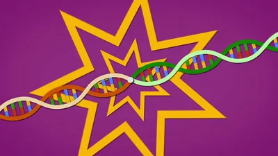 Why is it Called Genetic Engineering?